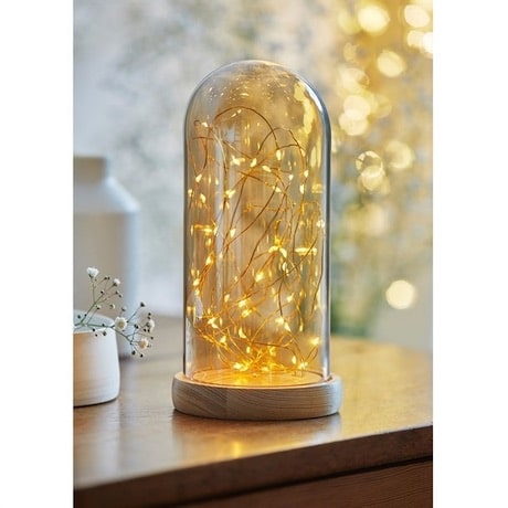 cloche de verre et sa guirlande