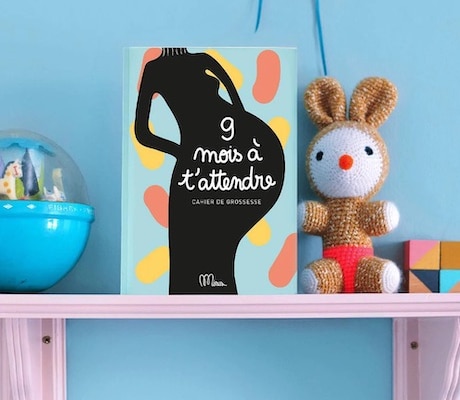 carnet de grossesse minus