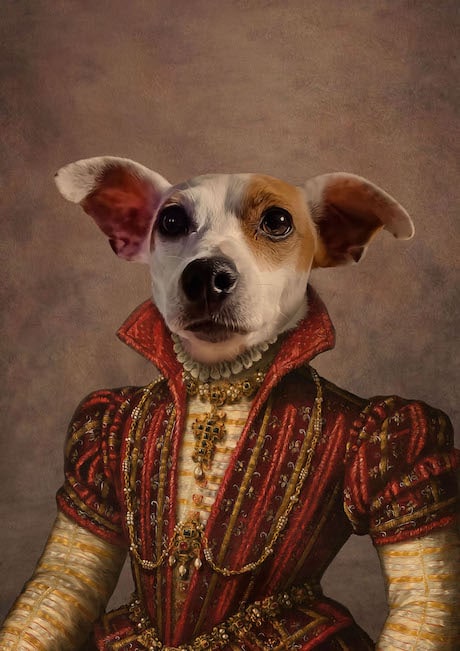 portrait animal de compagnie