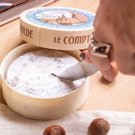 camembert chocolat trompe l'oeil