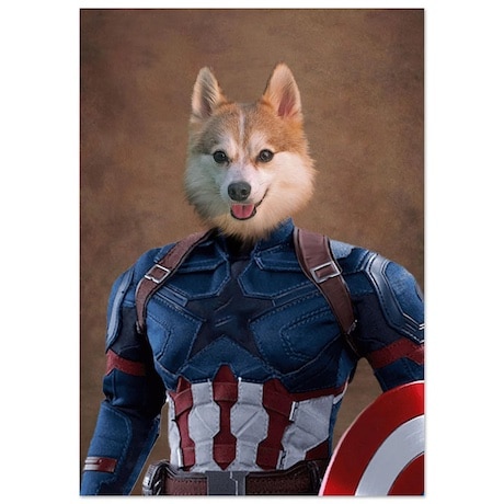 poster captain pattes