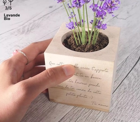 ecocube avec message à personnaliser