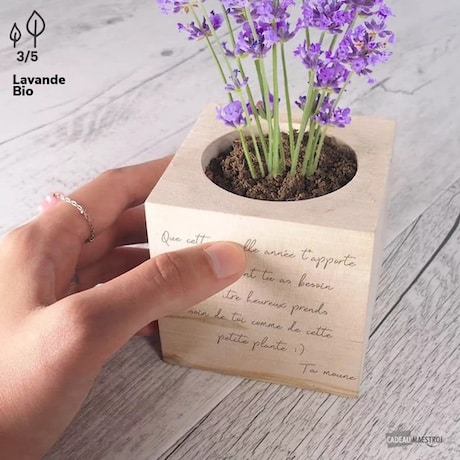 ecocube avec message à personnaliser