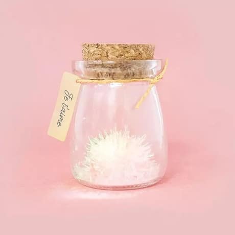 fleur de cristal à faire pousser