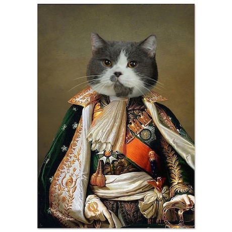 poster napoleon chat