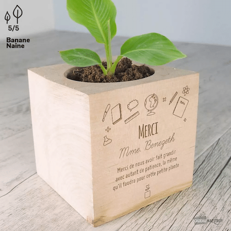 ecocube  merci maitresse