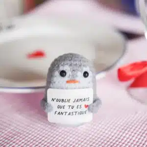 petits-messagers-message-pancarte-peluche-crochet-BD-6-pingouin